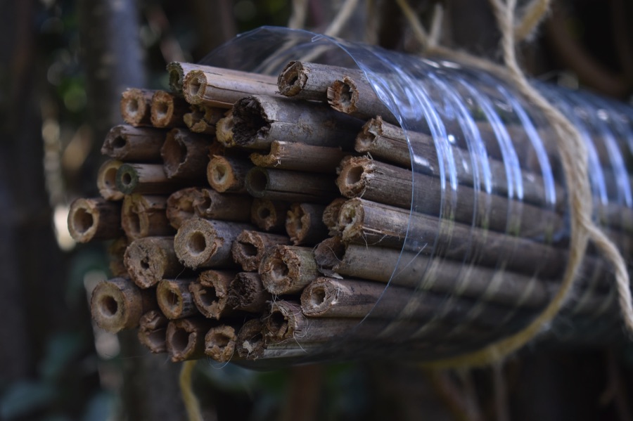Bottle bee house